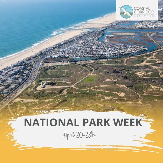 Aerial picture of the Randall Preserve and the Santa Ana River mouth going into the Pacific Ocean and portions of Newport Beach and Huntington Beach.