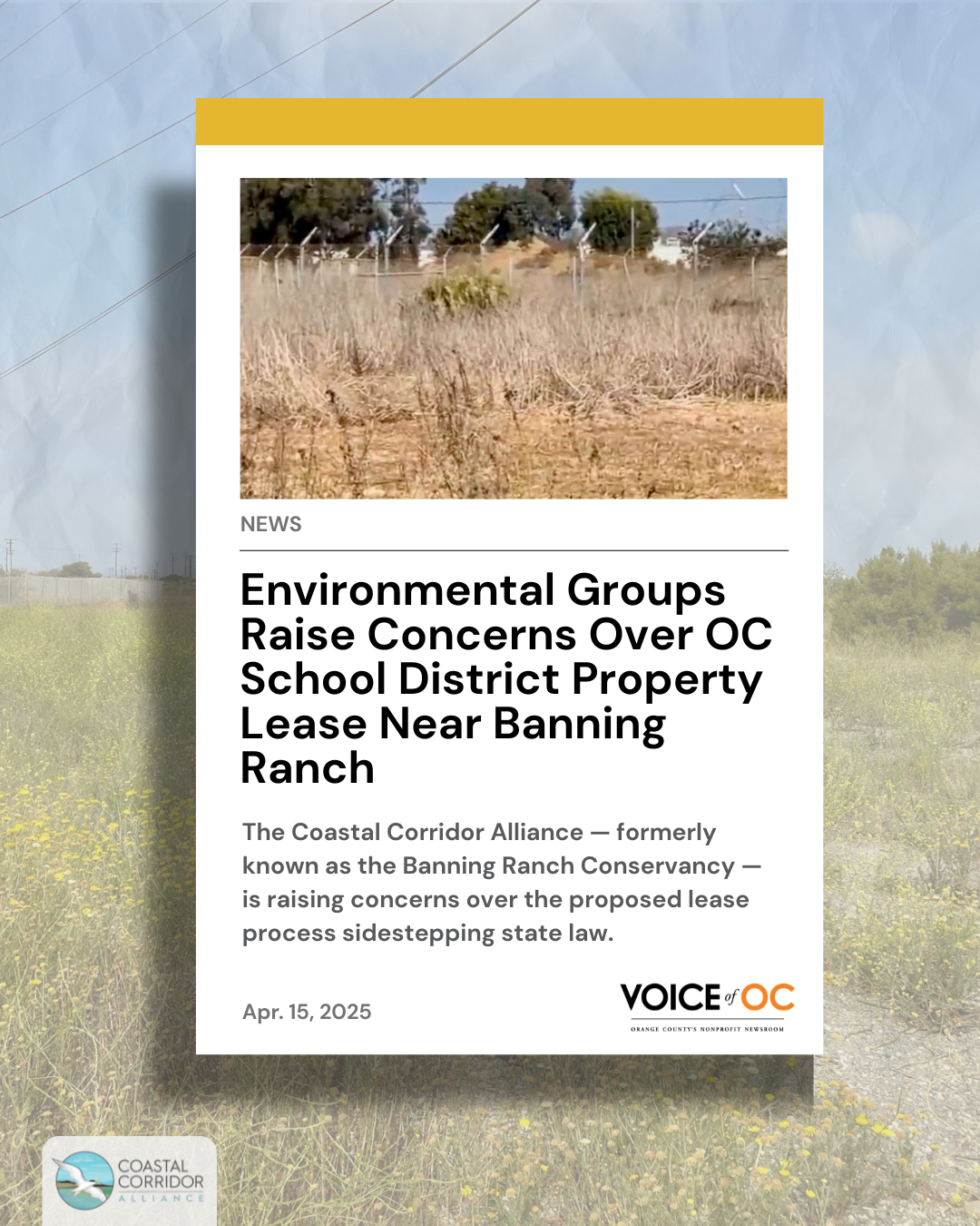 News graphic from Voice of OC featuring a story on environmental concerns over a school district land lease near Banning Ranch, with a field photo and Coastal Corridor Alliance logo.