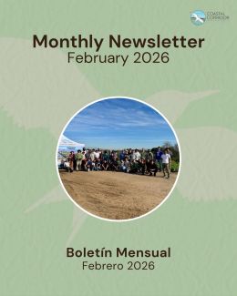 CCA's February Newsletter social media flyer post