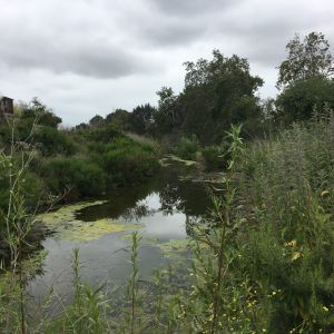 Fairview Park