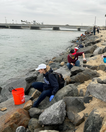 A group of people at the river mouth picking up trash.