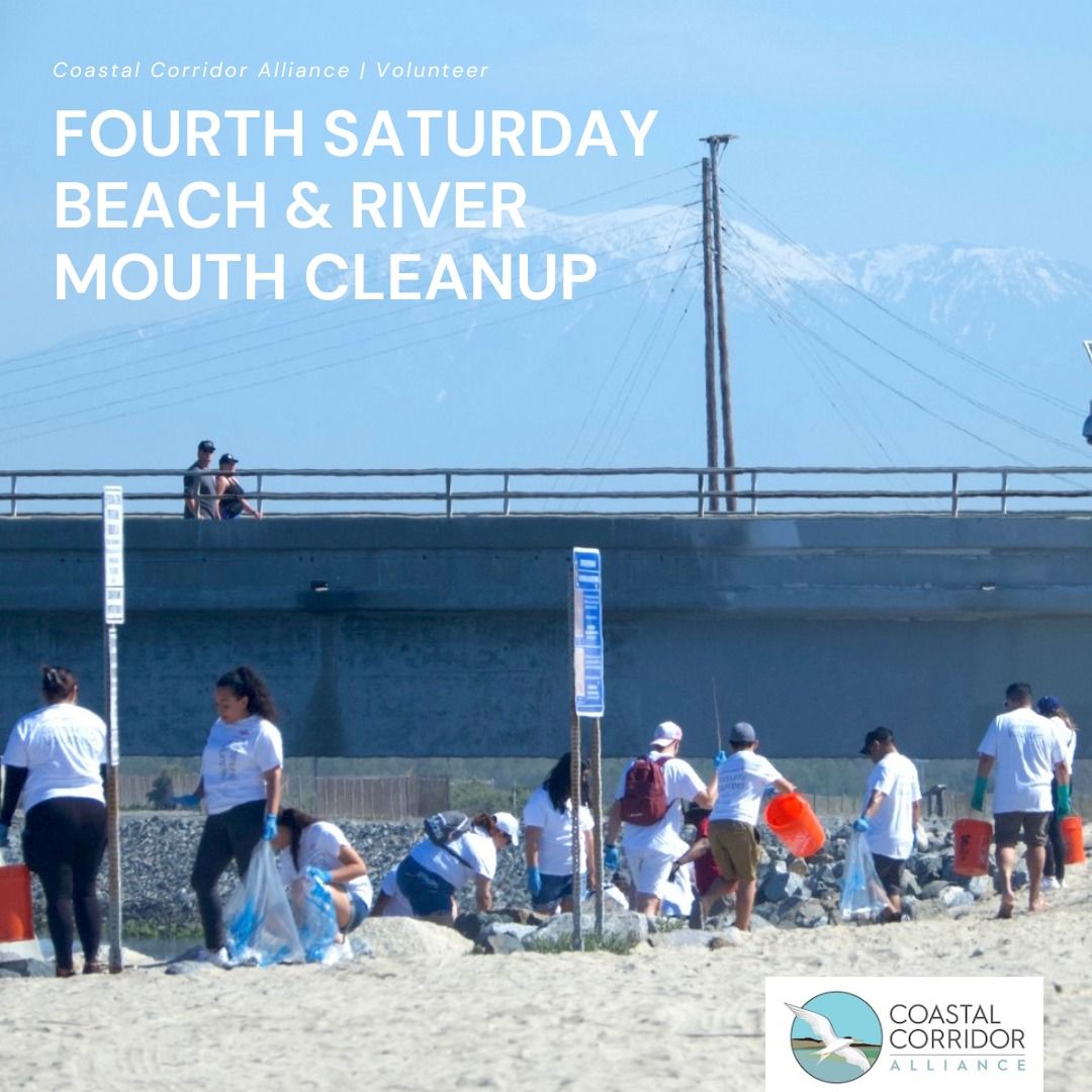 Volunteers near a roadway, but on the beach pick up trash with snow capped mountains in the distance and blue skies above.