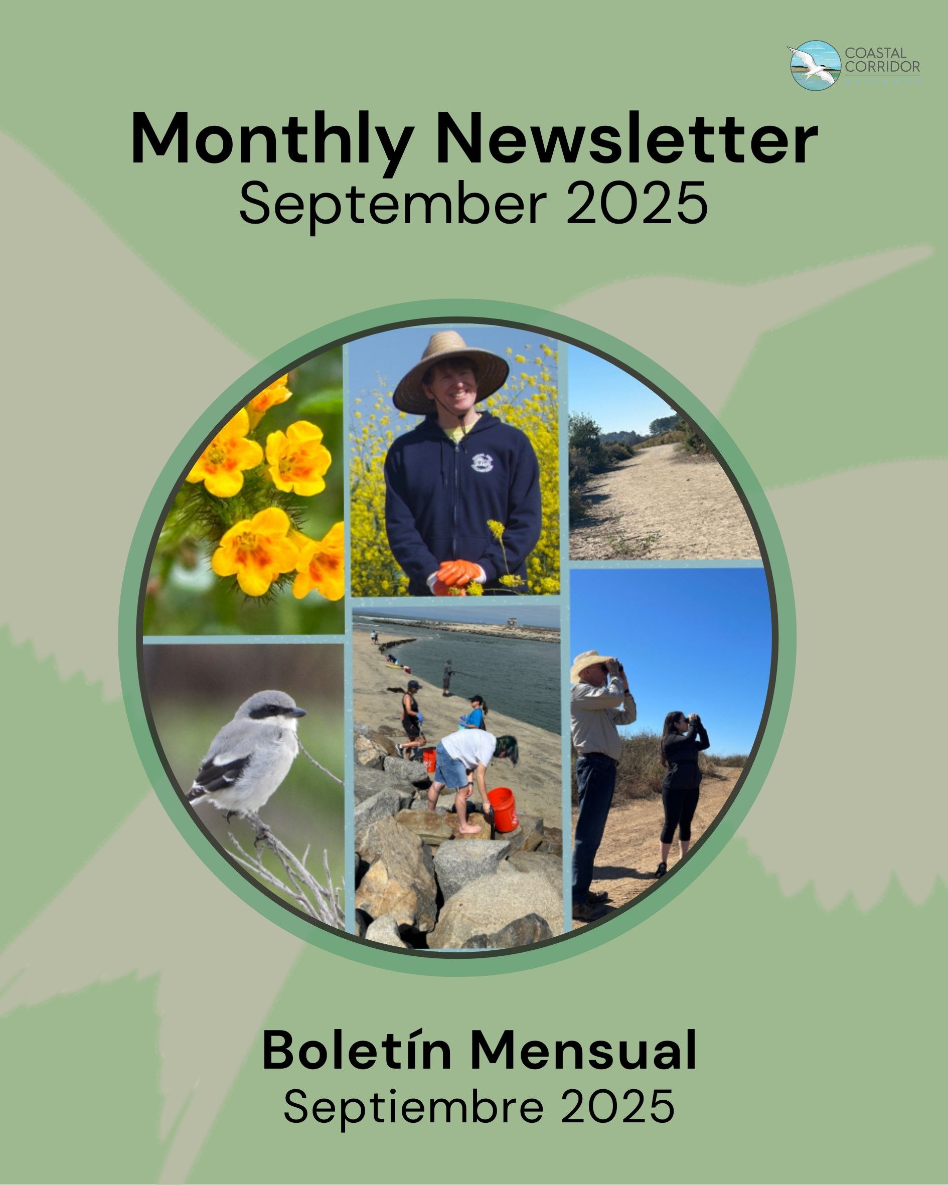 CCA's september newsletter post flyer