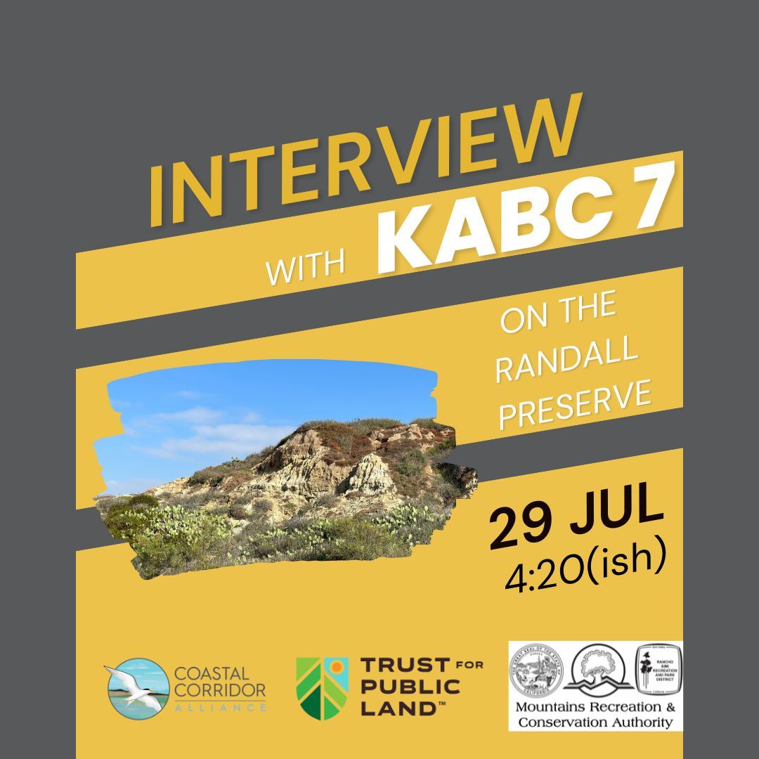 An image with a grey background and yellow stripes. It reads: Interview with KABC 7 on the Randall Preserve 29 Jul at 4:20 ish. There are three logos: CCA, TPL, and MRCA.