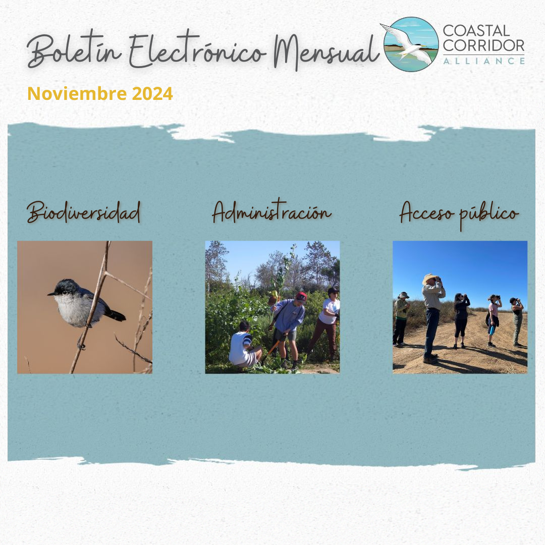 A Monthly E-Newsletter graphic listing November 2024 with a photograph of a bird (Biodiversity), people working on the land (Stewardship), and people looking through binoculars (Public Access) in Spanish.