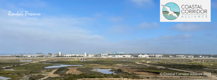 Far view of Randall Preserve