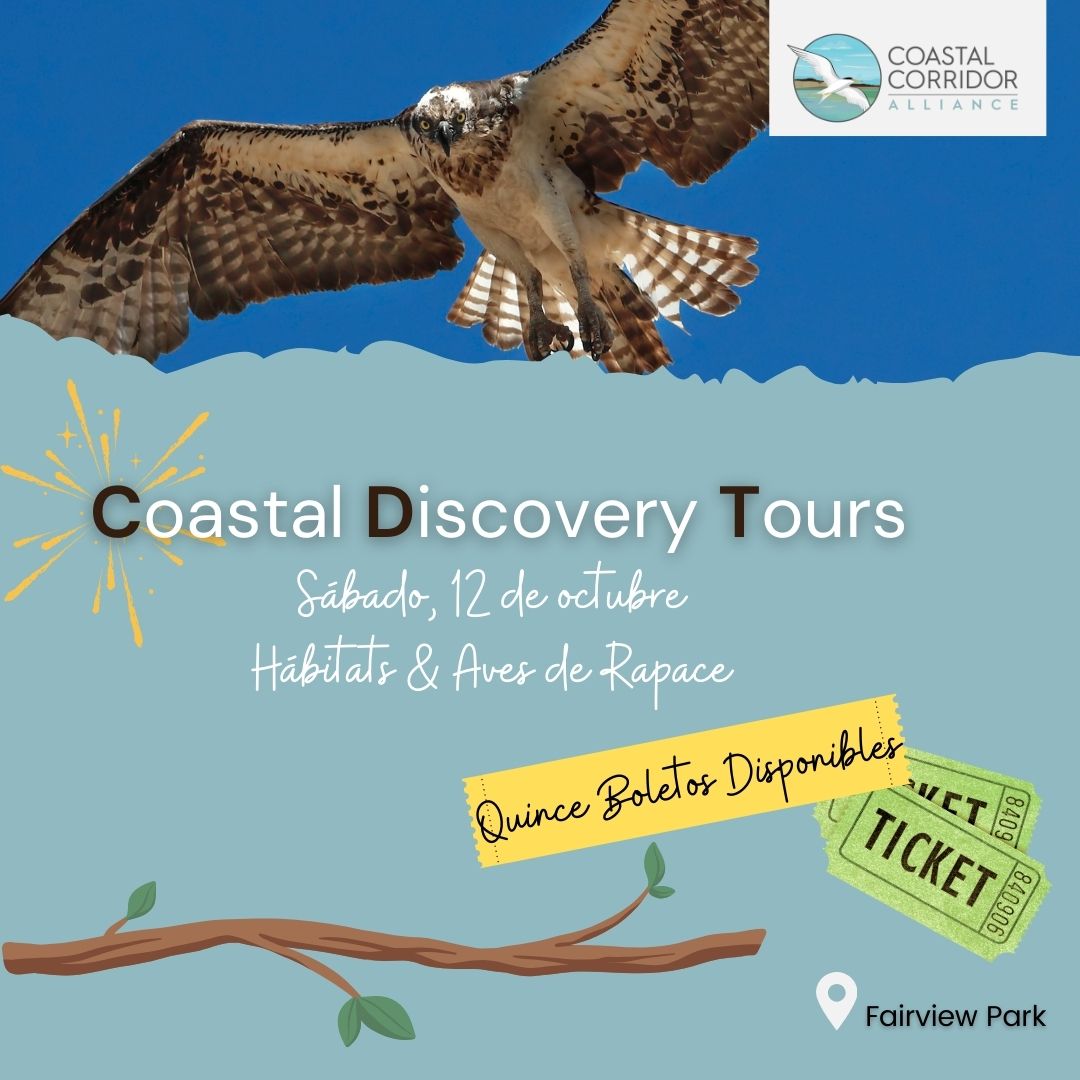 Coastal Discovery Tour promotion