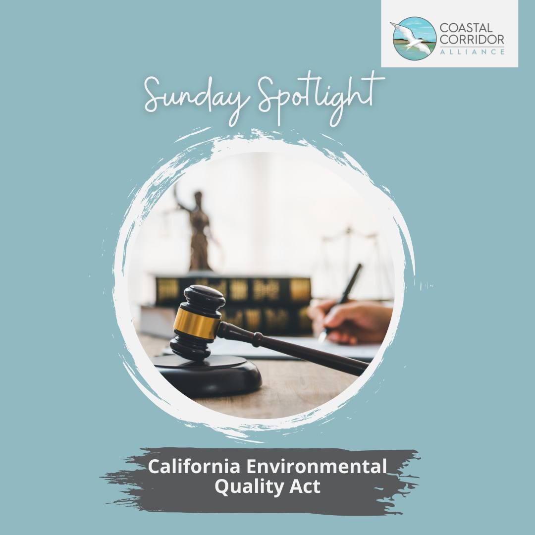 Promotional graphic titled "Sunday Spotlight" by Coastal Corridor Alliance, featuring a law-themed image with a gavel in the foreground and blurred image of a person writing in the background. Includes text: "California Environmental Quality Act.