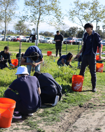 People working with buckets and tools to plant natives and remove non-native species.