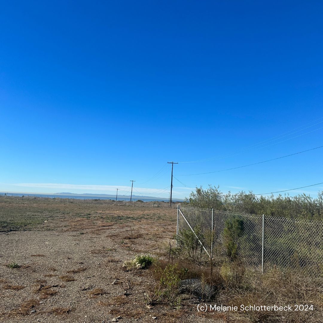 A photograph of the Newport-Mesa Unified School District property called Banning Ranch with blue skies above.