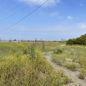 Newport Mesa Unified School District Land