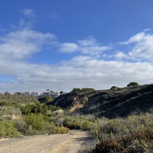 Randall Preserve