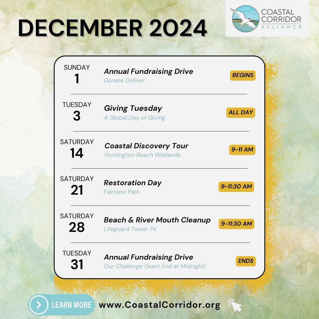 CCA event calendar for December 2024