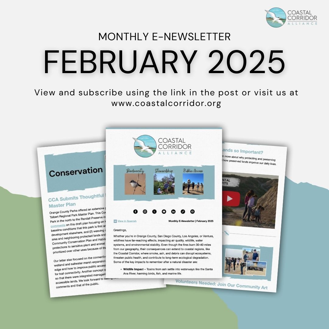 The image showcases the February 2025 e-newsletter for the Coastal Corridor Alliance. It highlights conservation efforts, biodiversity, stewardship, and public access. The newsletter encourages viewers to subscribe and visit the website, with a focus on the importance of preserving natural landscapes and wildlife. It also invites volunteers to join a community art initiative.