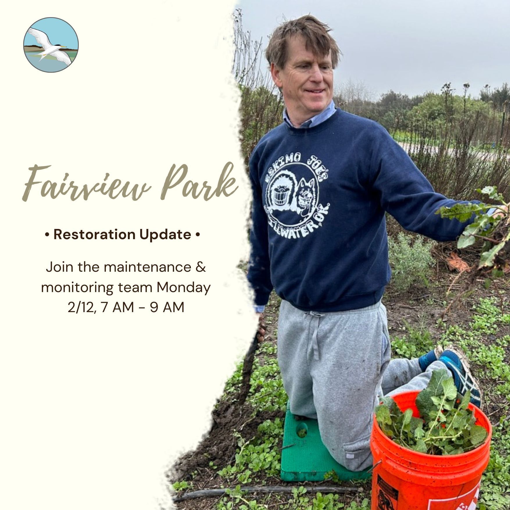 Coastal Corridor Alliance President Terry Welsh smiling and dropping weeds into a bucket at Fairview Park.