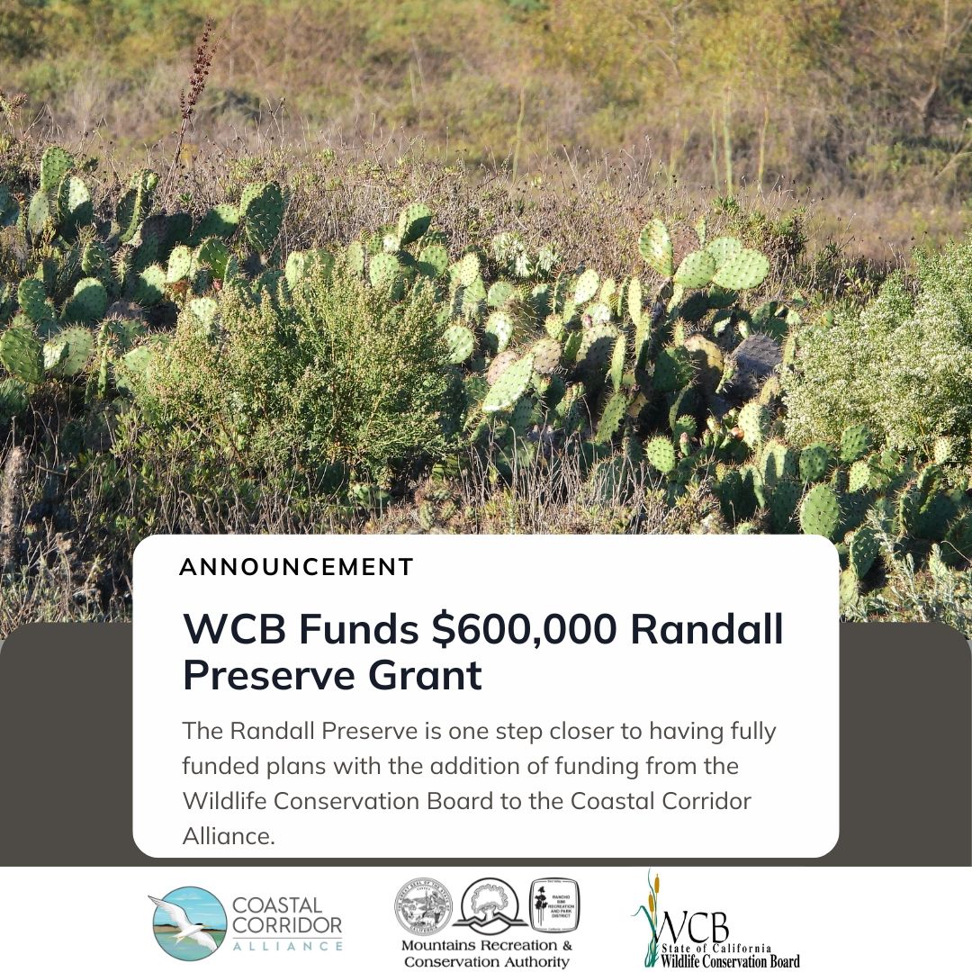 A photograph of cactus and habitat in the background. Three logos across the bottom: CCA, MRCA, and WCB. It reads: Announcement, WCB Funds $600,000 Randall Preserve Grant with text below that noting being one step closer to fully funded plans.