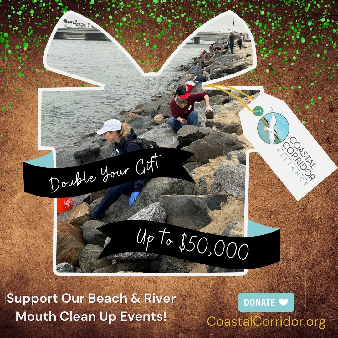 A banner image with a photograph people on the beach and rocks picking up trash in the shape of a gift. There are two banners in black one from the left and one from the right. They read: Double Your Gift and Up to $50,000. From the gift is a gift tag that has the Coastal Corridor Alliance logo on it. All of this is set against a brown background with green flecks of paint. On the right is a phrase (Support Our Beach & River Mouth Clean Up Events) above a Donate button with a heart on it. Below it is the CoastalCorridor.org website listed.