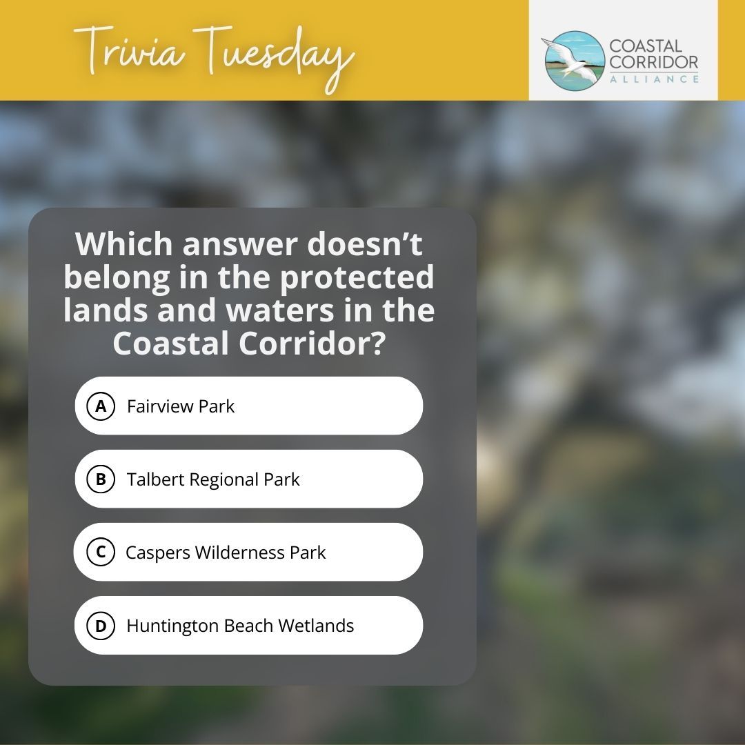 A graphic with the Coastal Corridor Alliance logo upper right with a yellow bar behind it and the words: Trivia Tuesday. Below it is a blurred image a question: Which answer doesn’t belong in the protected lands and waters in the Coastal Corridor 1. Fairview Park 2. Talbert Regional Regional 3. Caspers Wilderness Park 4. Huntington Beach Wetlands