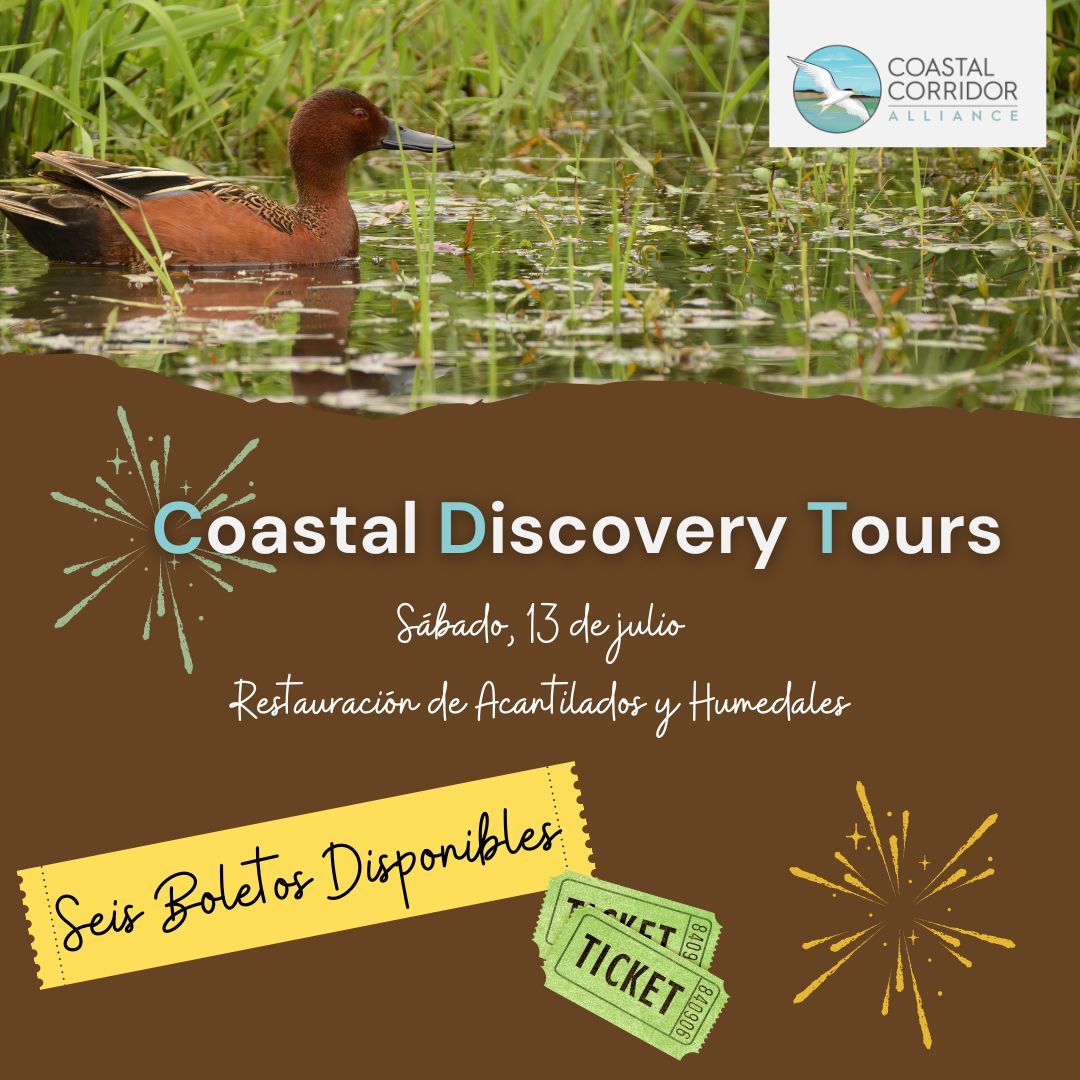 A brown graphic with a ruddy duck across the top. It features the Coastal Discovery Tours on July 13 with six tickets left. The content is written in Spanish.