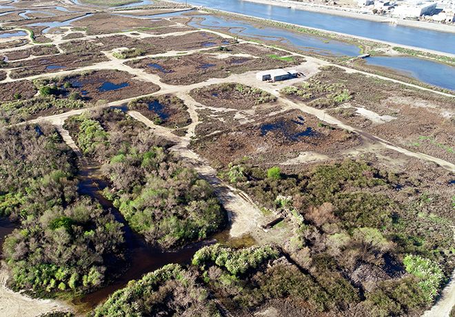 RP-Wetlands