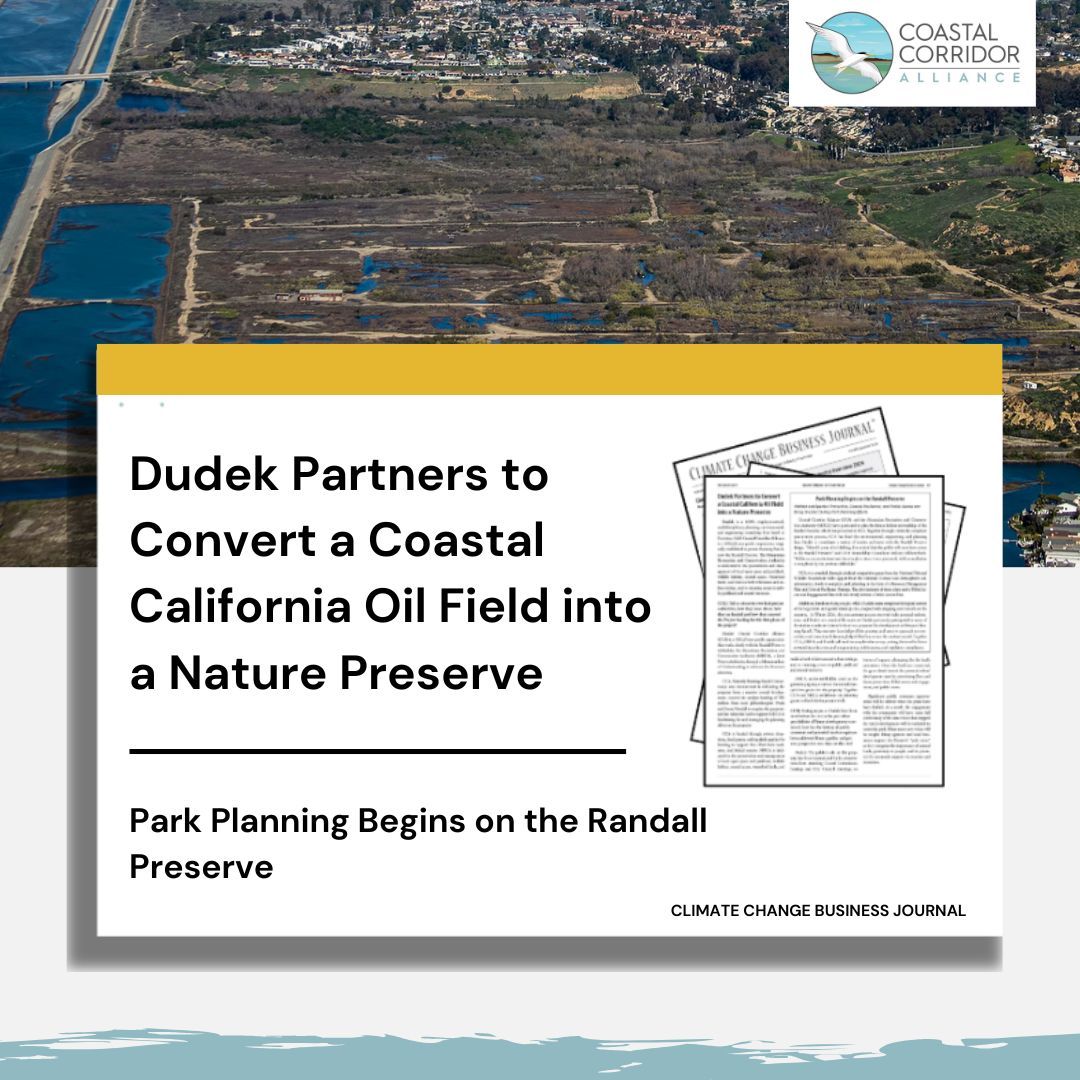 Split image: Top half shows an aerial view of an oil field with dark patches and small bodies of water. Bottom half is a yellow box containing an article excerpt with the headline "Dudek Partners to Convert a Coastal California Oil Field into a Nature Preserve" and "Park Planning Begins on the Randall Preserve," from Climate Change Business Journal. The Coastal Corridor Alliance logo, featuring a bird in flight, is in the upper right corner.