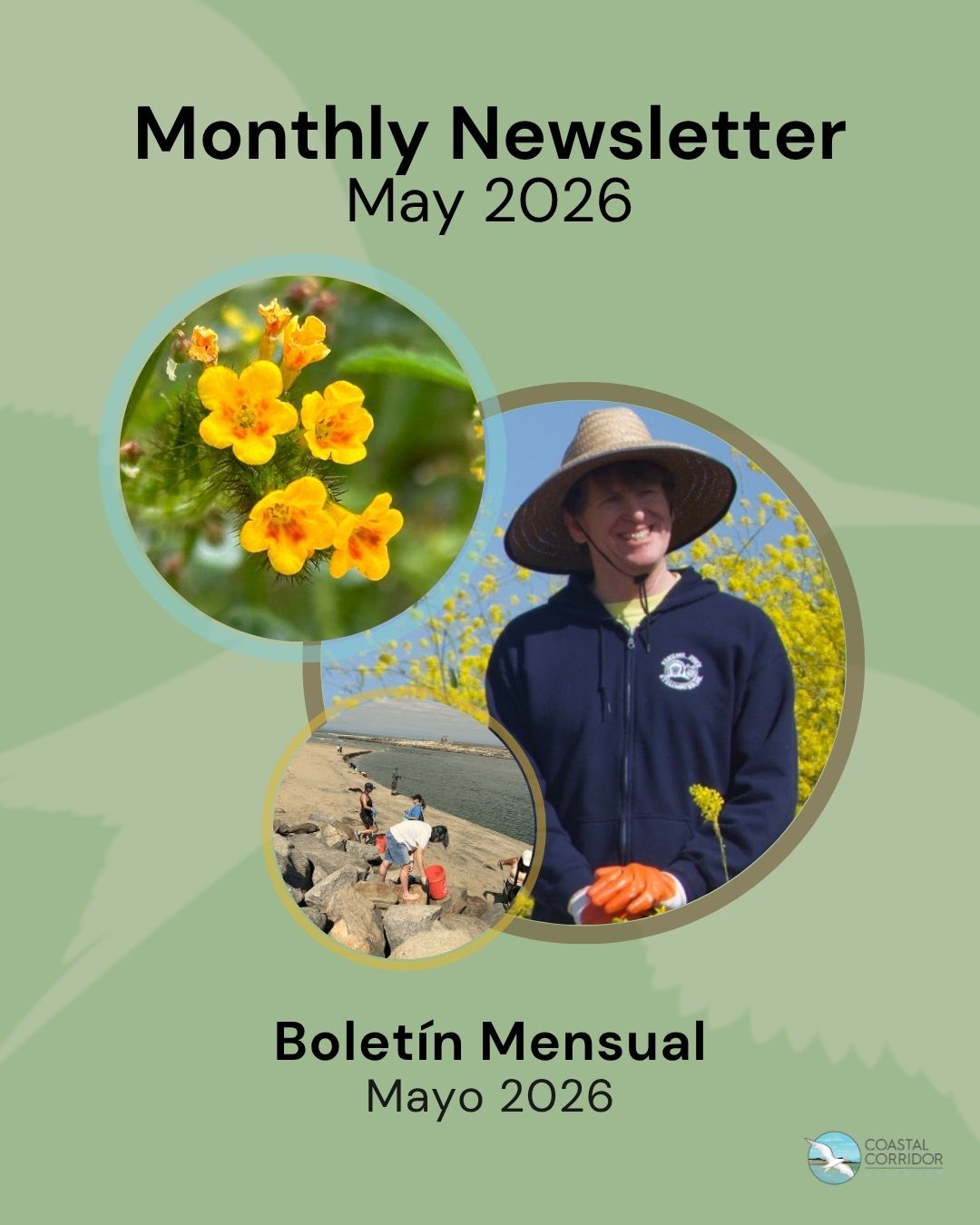 May Newsletter Flyer