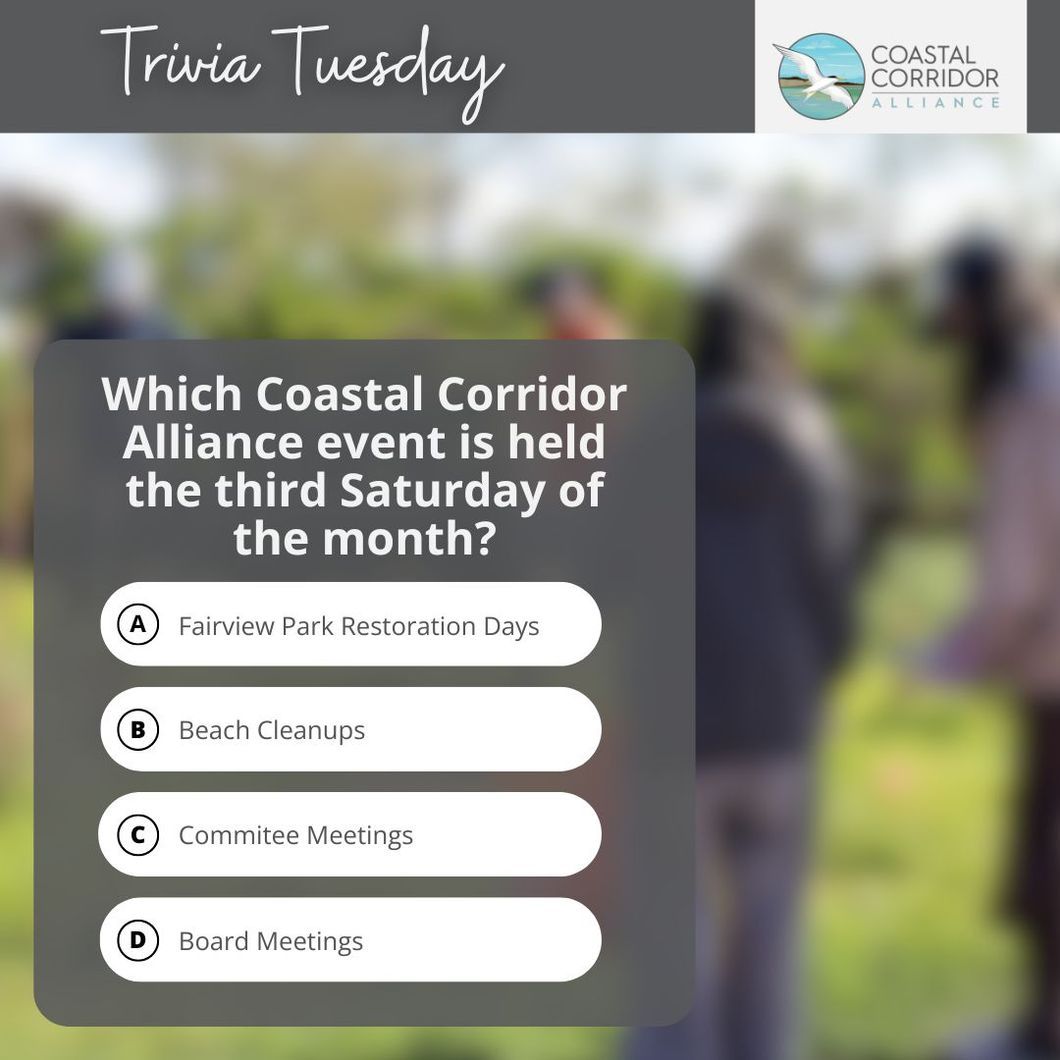 A graphic with the Coastal Corridor Alliance logo upper right with a grey bar behind it and the words: Trivia Tuesday. Below it is a blurred image a question: Which Coastal Corridor Alliance event is held the third Saturday of the month? 1. Fairview Park Restoration Days 2. Beach Cleanups 3. Committee Meetings 4. Board Meetings