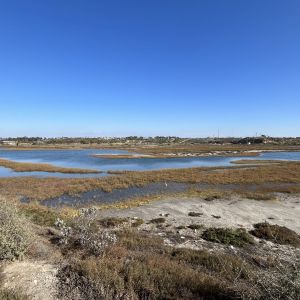 Semeniuk Slough
