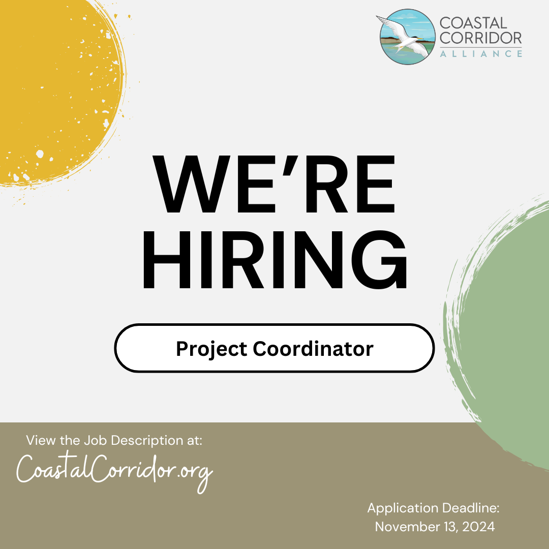 A graphic that reads "We're Hiring" with a Project Coordinator position at the center. Across the bottom is direction to view the job description at CoastalCorridor.org and the Application Deadline of November 13th.