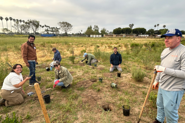 Several people digging in the ground on a slightly overcast day.
