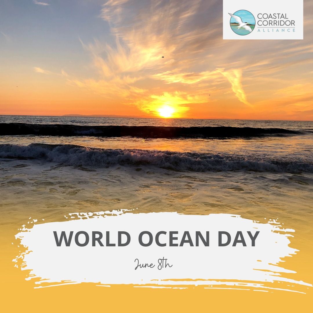 Sunset view over the ocean with waves, under a vibrant orange sky, featuring text 'World Oceans Day, June 8th' for Coastal Corridor Alliance promotional material.