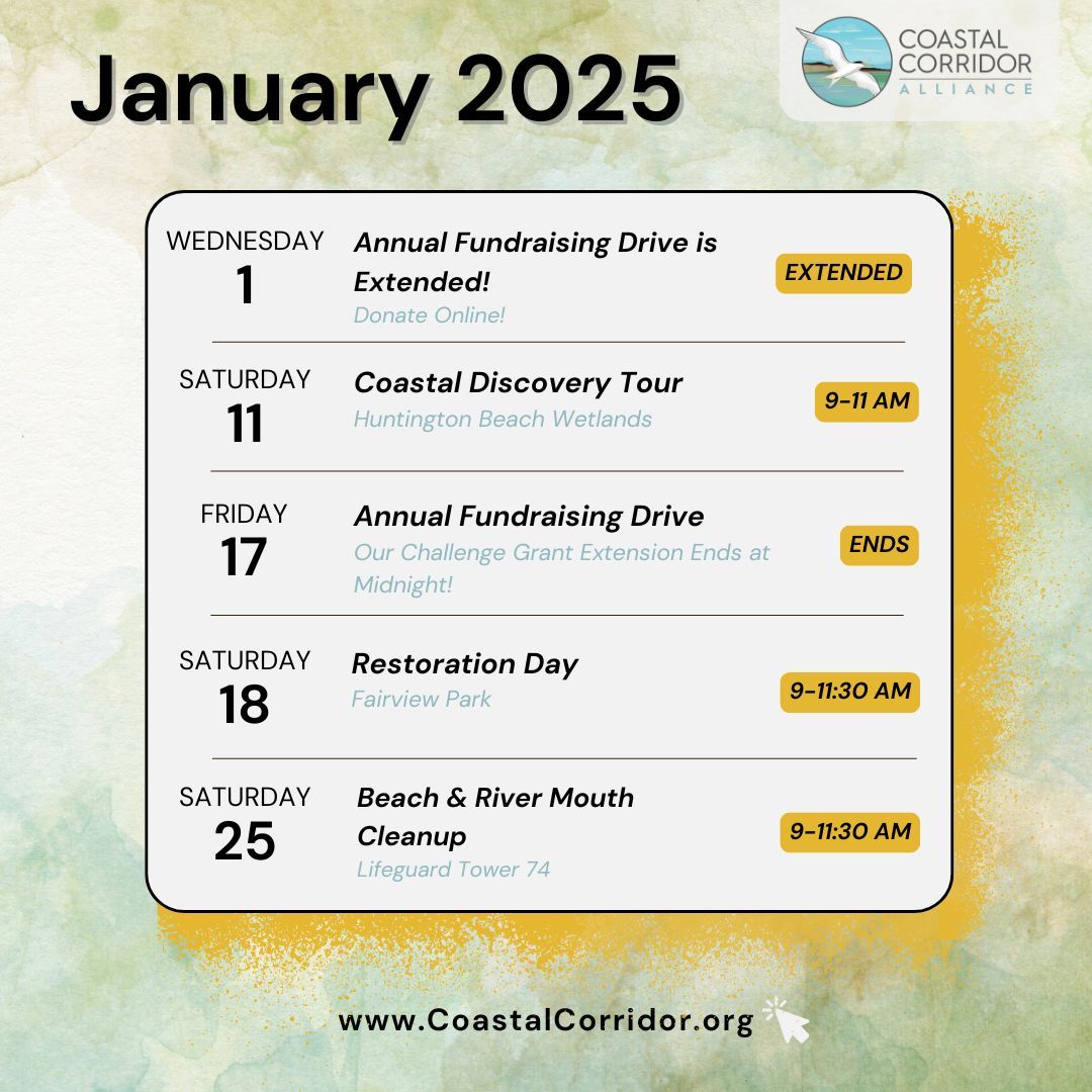 January 2025 monthly event calendar