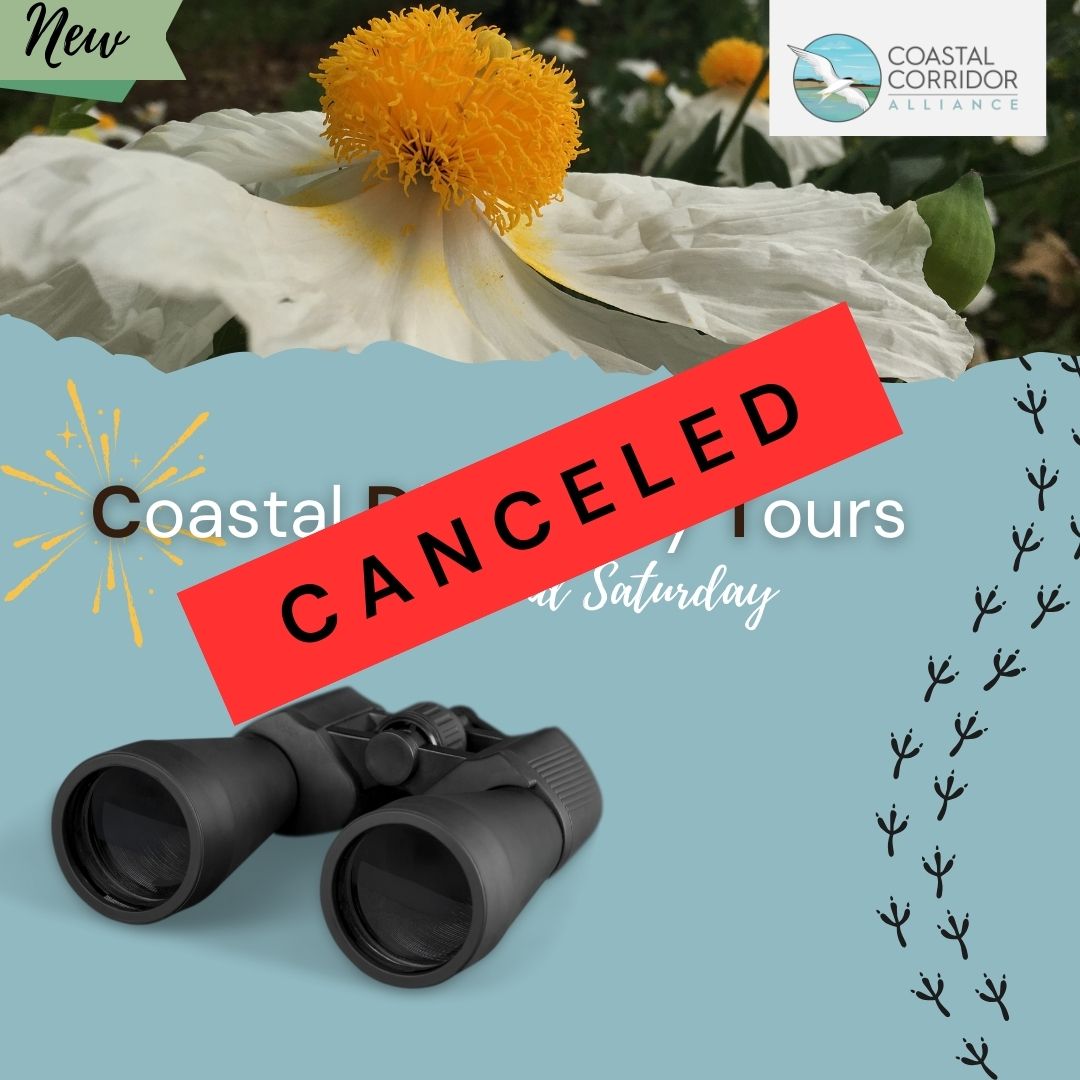 A graphic of the Coastal Discovery tours with a white flower, binoculars, and footprints with a red banner reading CANCELED.