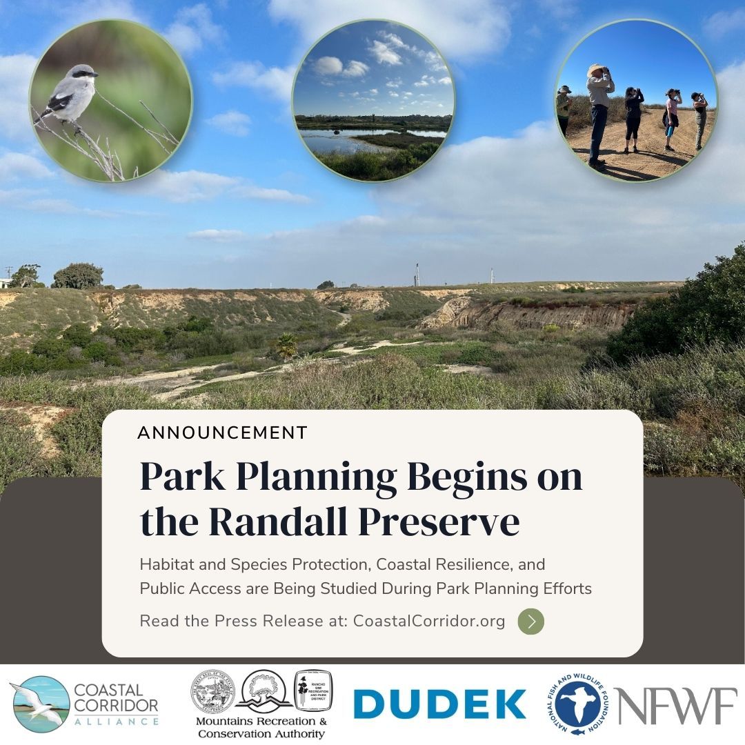 A graphic with three images across the top overset on a landscape photo with a text box describing Park Planning Beginning on the Randall Preserve with four logos across the bottom.