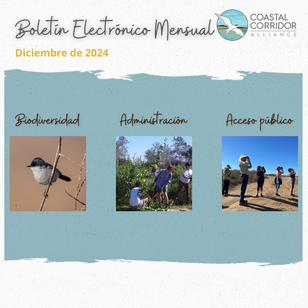 December E Newsletter promotion in spanish.