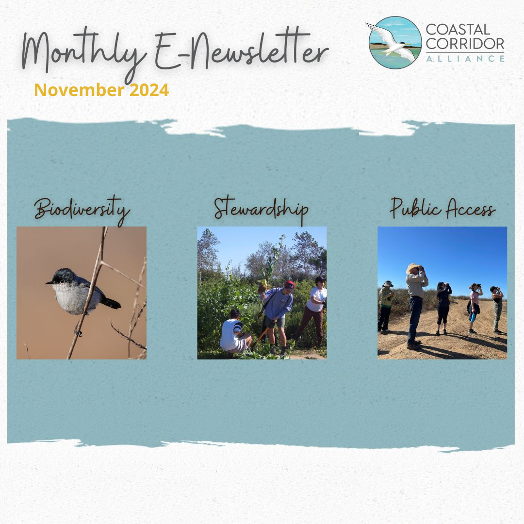 A Monthly E-Newsletter graphic listing November 2024 with a photograph of a bird (Biodiversity), people working on the land (Stewardship), and people looking through binoculars (Public Access).