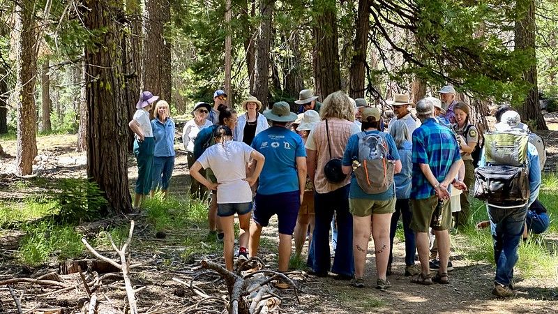 A group of volunteers gathers in a forested area for an educational session, led by a guide in uniform. The scene features tall pine trees, dappled sunlight filtering through the branches, and participants wearing casual outdoor clothing, hats, and backpacks. The focus is on community engagement and nature conservation.