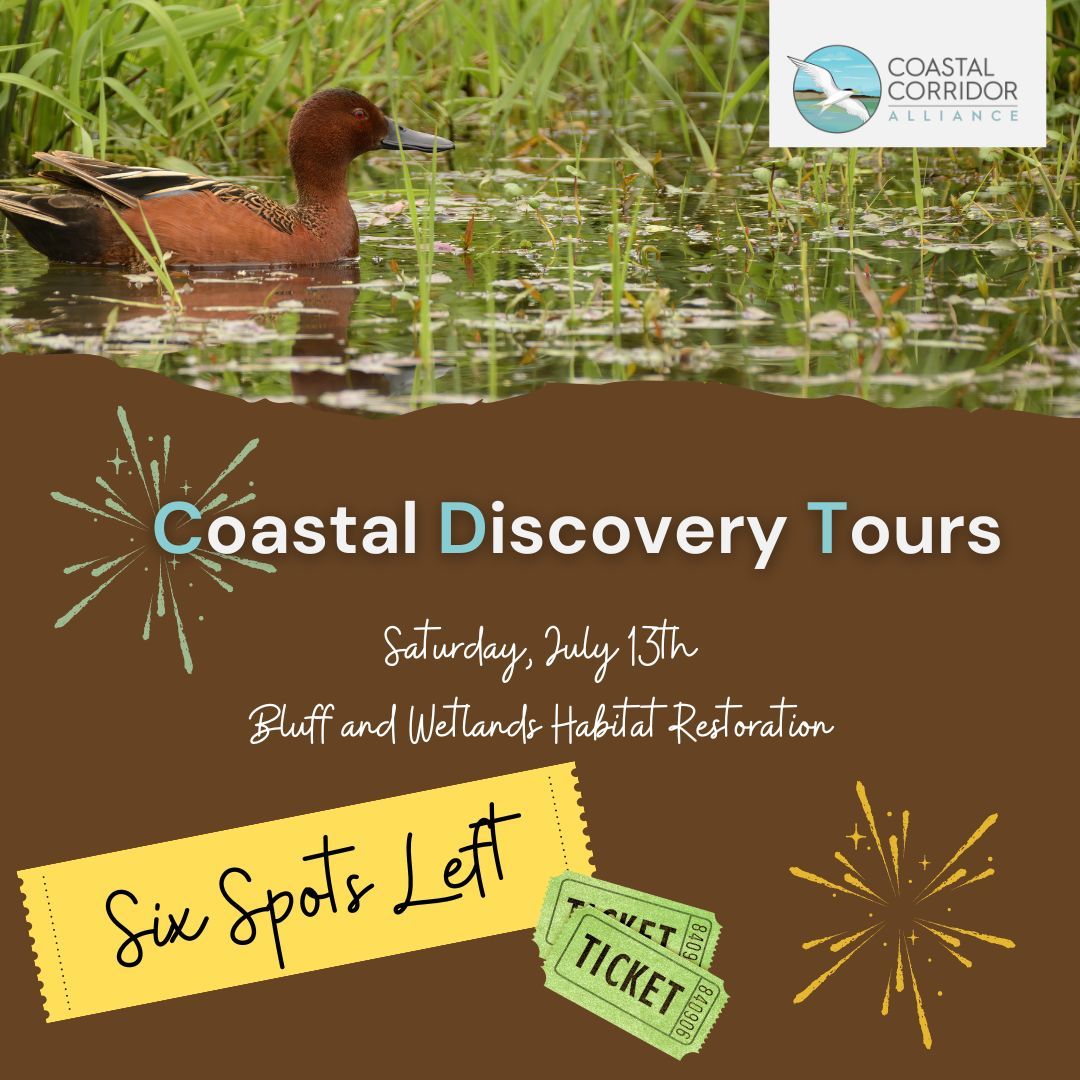 A brown graphic with a ruddy duck across the top. It features the Coastal Discovery Tours on July 13 with six tickets left.