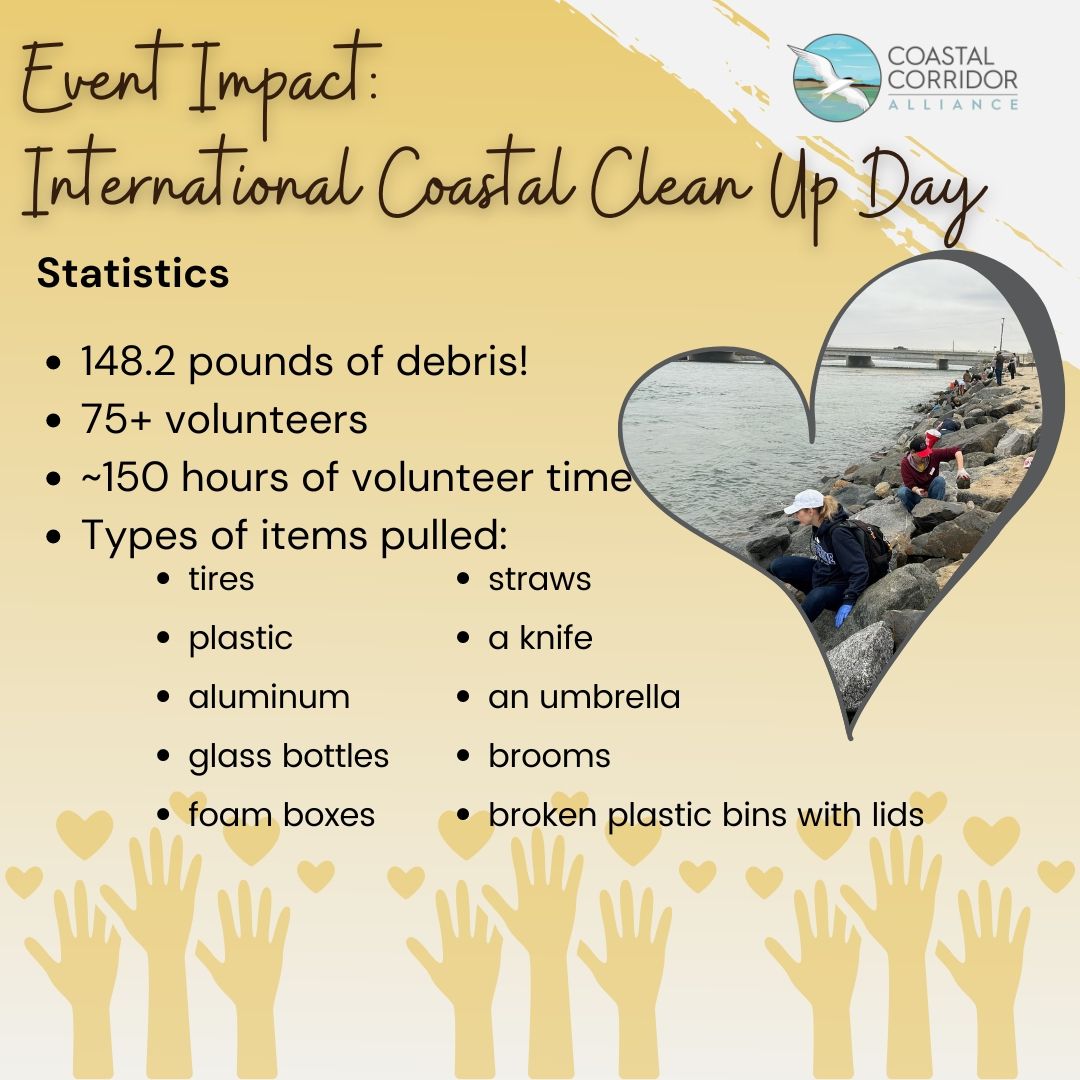 International Clean Up Day