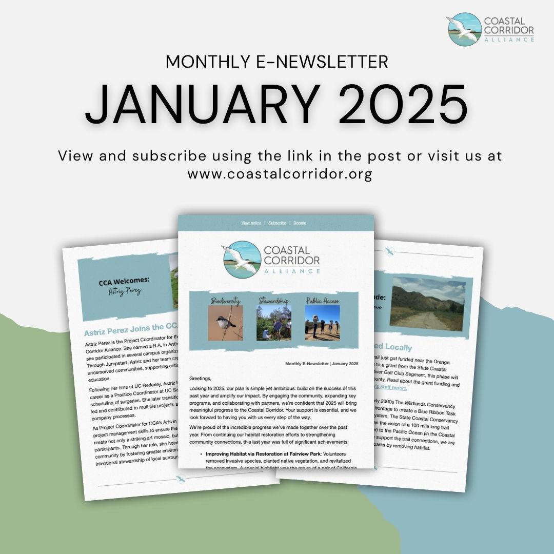 A social media post highlighting the Monthly E-Newsletter January 2025