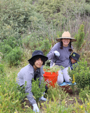 Two people working with buckets and tools to plant natives and remove non-native species.