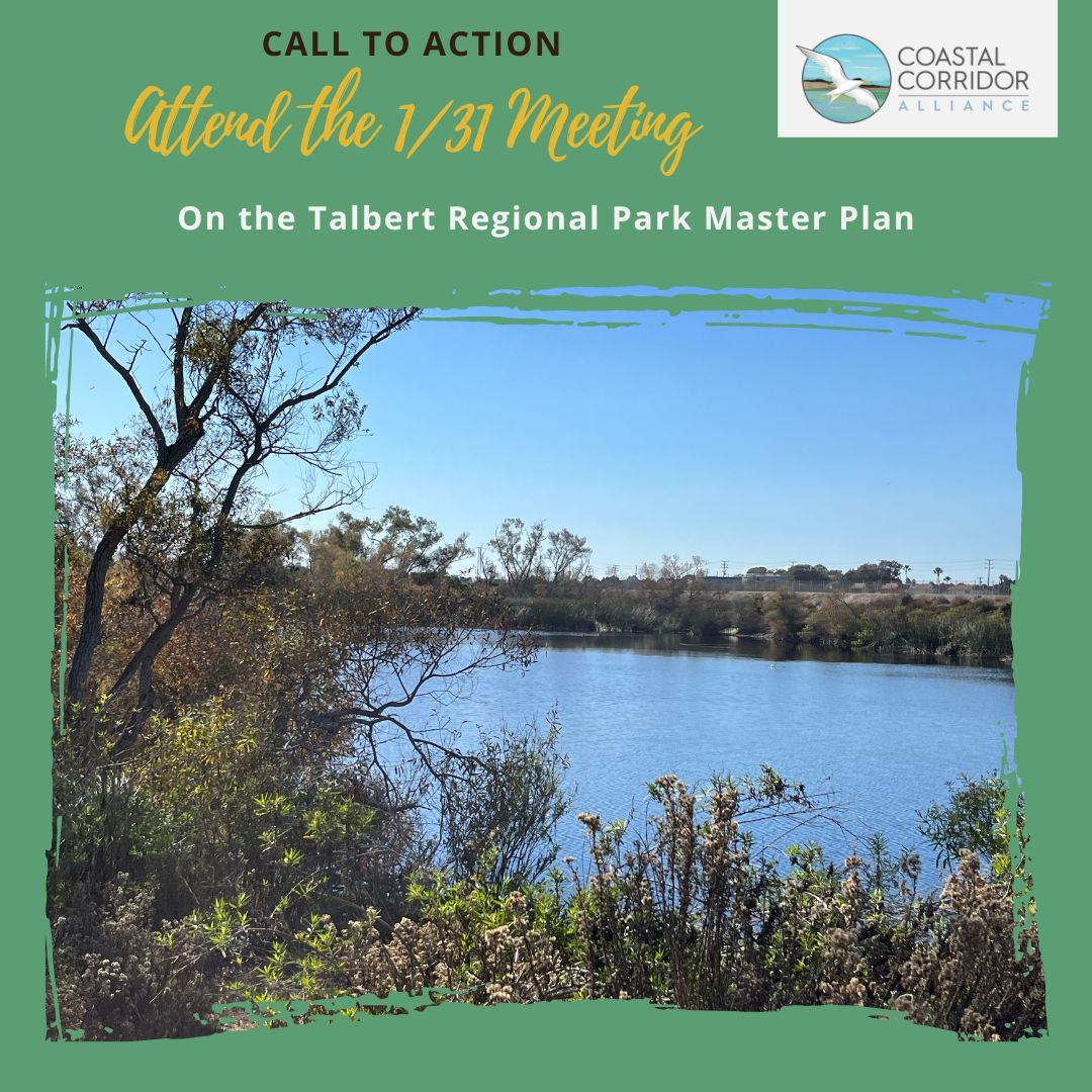 An image with a green background that reads: Call to Action, then Attend the 1/31 Meeting on the Talbert Regional Park Master Plan. It has a photo of Talbert Regional Park and the CCA logo.