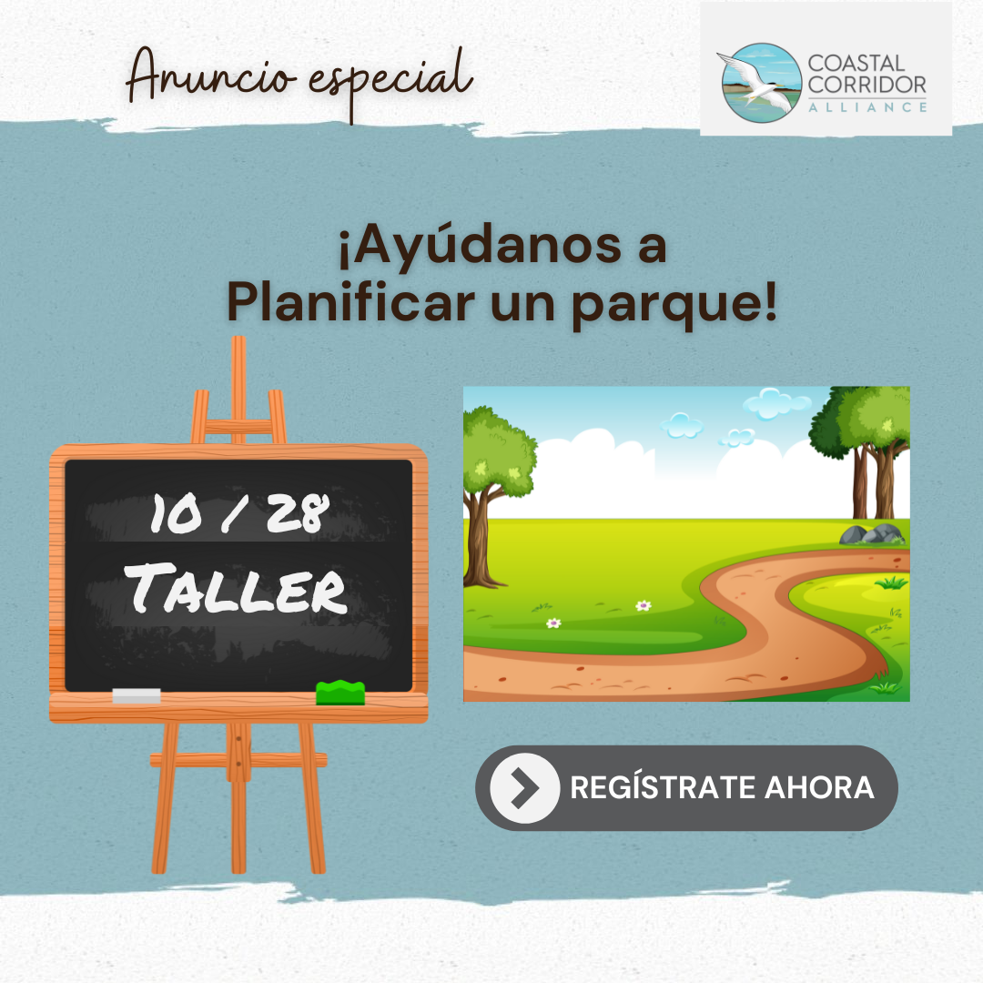 A graphic that reads "Special Announcement." On the right is the CCA logo. In the Center is the phrase: Help Us Plan a Park! On the left is a chalkboard that reads: 10/28 Workshop. On the right is a graphic of a park with a trail and trees. Below it is a Register Now button. The text is in Spanish