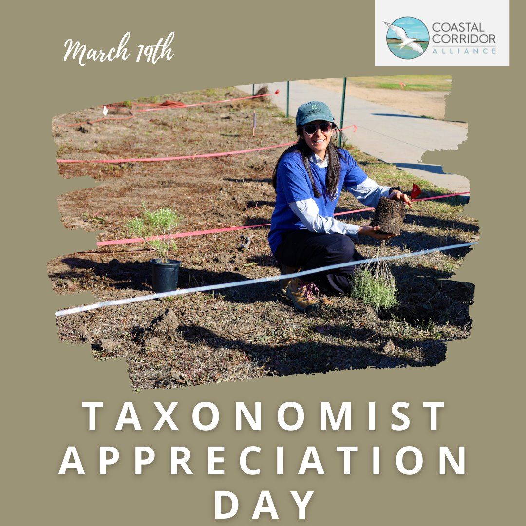 Image of a woman with long brown hair with a baseball hat and sunglasses. She is showing us how to prepare the plants for the soil we will be planting in.