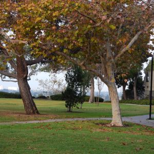 Vista Park