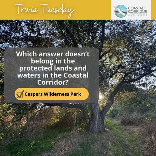 A graphic with the Coastal Corridor Alliance logo upper right with a yellow bar behind it and the words: Trivia Tuesday. Below it is an image of an oak tree and a question with an answer: Which answer doesn’t belong in the protected lands and waters in the Coastal Corridor C. Caspers Wilderness Park