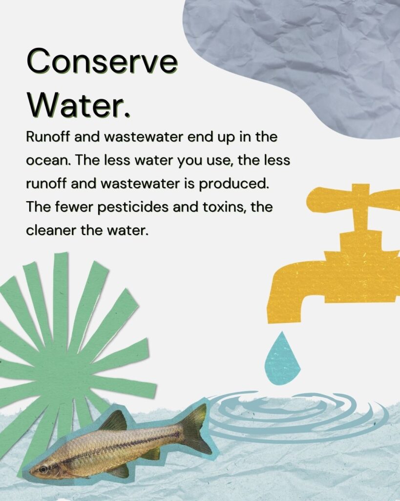 A yellow faucet drips water into a rippling pool next to a fish and green abstract shapes. Text explains how conserving water reduces runoff and pollution in oceans.