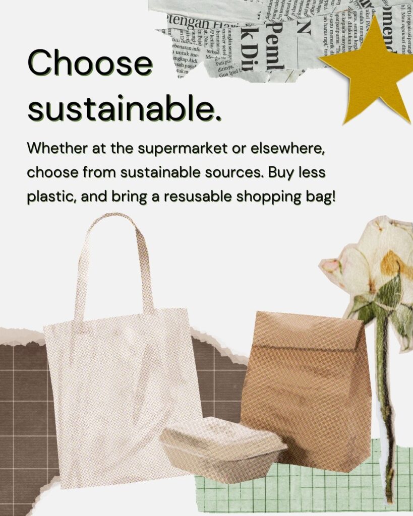 A reusable canvas tote, paper bag, and compostable takeout container appear alongside newspaper clippings, a golden star, and a flower. Text encourages choosing sustainable items and reducing plastic use.