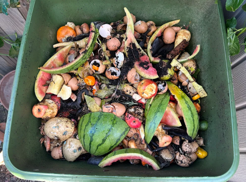 A worm compost bin with food scraps piled inside.